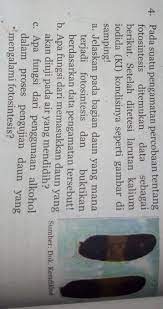 Alternati jawaban paragraf 1 sampai 5 penanggung jawab kegiatan: Ipa Halaman 152 Uraian Nomor 4 Kelas 8 Smptolong Membantu Please Ku Mohon Dong Janji Ya Pliiis Brainly Co Id