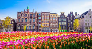 Aktuelle hafeninformationen infomationen zu klima/wetter routen, angebote und preise jetzt über antwerpen informieren! Fruhling In Holland Hafen Zu Hafen Kreuzfahrt Von Amsterdam Nach Antwerpen From Amsterdam To Antwerpen Von Croisieurope River Cruises Mit 2 Kundenbewertungen Tourradar