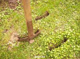 Fast jeder von uns hat eine kleine, manchmal auch größere stelle im garten, an der es einfach nicht rund läuft. Lehm Im Garten Gartenpflege Tipps