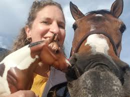 Breyer Wrap-Up From Equitana USA! — BreyerHorses.com