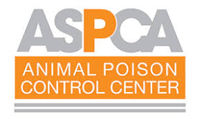 So what are the most dangerous. Aspca Animal Poison Control Center Apcc