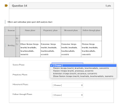 Solved Question 14 1 Pts Bow And Radioulnar Joint Sport S