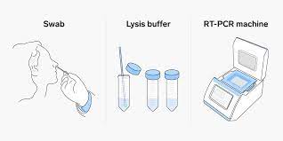 Today dr rupert critchley, our founder and a registered gp, is demonstrating how to properly collect a pcr. How Coronavirus Throat Nose Tests Work Rt Pcr Method Explained