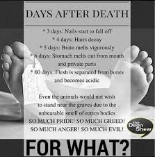 Money has never made man happy, nor will it, there is nothing in its nature to produce happiness. Family Deceased Quotes About Greedy Family Members Daily Quotes