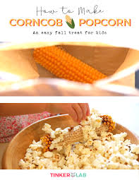 In brazilië zijn kant en klare snacks relatief duur als je ze koopt in een supermarkt. Popcorn Cob How To Pop Popcorn From A Cob Tinkerlab