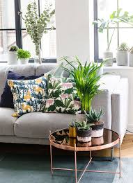Grey Sofa Colourful Cushion Pillows Tropical Urban Jungle Indoor Plants Copper Table Urban Jungle Living Room Cushions On Sofa Flat Interior