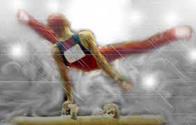 Dustyritter Com The Blackjack Mens Gymnastics Championship