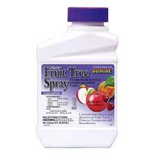 We did not find results for: Bonide Fruit Tree Spray Pest Disease Controls Stark Bro S