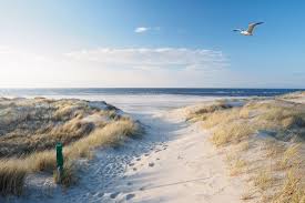 O hotel dispõe de quartos para não fumadores. Zandvoort Urlaub Am Meer Nahe Amsterdam Urlaubsguru