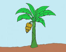 How To Draw A Banana For Kids Archives How To Draw Step By Step Landscape drawing black and white. how to draw a banana for kids archives