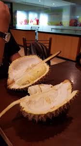 Visual Notes Rekomendasi Tempat Makan Durian Di Jakarta