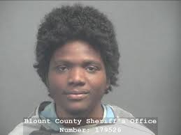 Blount county arrest records available