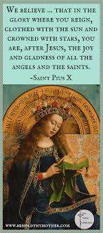 Behold Thy Mother A Scriptural Rosary Book Is Steeped In Beauty And Tradition With Sacred Art Medit Catholic Prayer Book Catholic Mother Scriptural Rosary