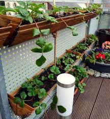 Diy cultiver des fraises en hauteur dans des gouttières. Suivez Ces Etapes Faciles Et Decouvrez Comment Cultiver Des Fraises En Pot