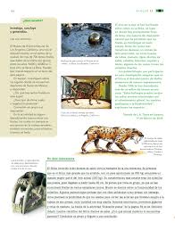 Libro de ciencias naturales 4 cuarto grado 2020 2021. Paco El Chato Sexto Grado Ciencias Naturales Pagina 128