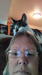 Frosty loves the beach and ocean breeze