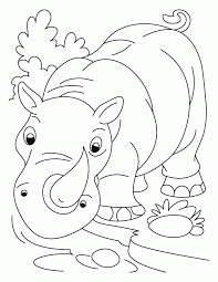 25 219 просмотров • 19 апр. Rhinoceros Coloring Page Coloring Home