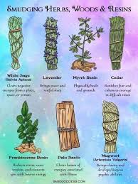91 Tumblr In 2020 Herbal Magic Herbs Healing Herbs