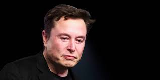 Elon Musk Cites Jared the Subway Guy and Gary Glitter in Vernon Unsworth  Defamation Case