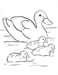 34 Fresh Duck Coloring Pages Family Coloring Pages Bird Coloring Pages Cartoon Coloring Pages
