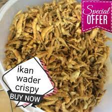 Sambel wader ini memiliki rasa gurih dan kriuk yang akan membuatmu ketagihan mencobanya. Ikan Wader Crispy Shopee Indonesia