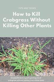 Pin On Garden Tips