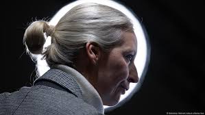 German AfD party grows parliamentary clout, sparking concern