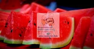 البطيخ الأحمر الدلاع أو الحبحب من الخضروات ذات أغصان الممتدة لها ثمار كروية حلوة المذاق ذات لون أخضر ولب أحمر غنية بنسبة كبيرة من الماء Watermelon Melon Fruit