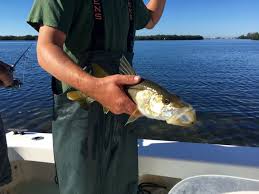 Seafood specials, burgers, fish, and one of the best cuban sandwich i've ever had. 16 Cool Things To Do In Anna Maria Island Florida Mccool Travel