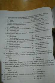 Gerak dasar passing bawah passing bawah dalam permainan bola voli banyak dimanfaatkan untuk memberikan bola kepada teman atau menerima servis. Gerakan Dasar Untuk Memulai Permainan Bola Voli Adalah Sekali