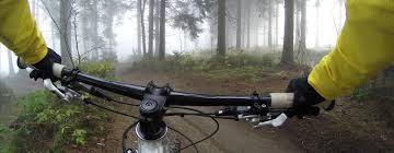 Fahrradvermietung Luft Zingst