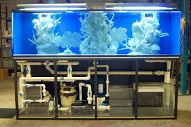 Oct 28, 2019 · model fungsi pada rajah 1.12 menunjukkan gambaran keseluruhan hubung kait antara komponen dan fungsi bagi kereta kawalan jauh. Bagaimana Untuk Memilih Pam Akuarium