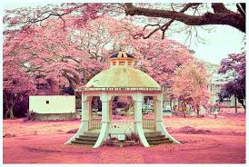 University Of The Philippines Los Banos Philippines Los Banos Green Architecture