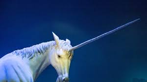 Decacorn is the new unicorn in 2013, there were 38 unicorns across all tech sectors; Unicorns Narwhals And Cockroaches Time To Brush Up On Today S Tech Jargon