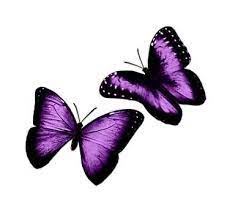 Pin By Stephanie Lord On Ideas For More Ink Purple Butterfly Tattoo Colorful Butterfly Tattoo Purple Tattoos