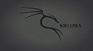 Getting Started With Kali Linux Linux Kali Black Hd Wallpaper