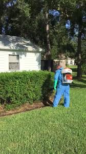 Country boy pest control's headquarters is in winter haven, florida. Country Boy Pest Control Llc Home Facebook