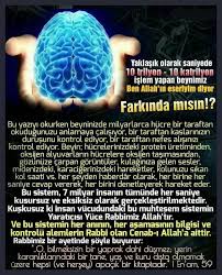 Beyin Brain Mucize Kendini Gelistirme Gercekler Allah