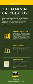 Forex Infography Online Broker Forex Fund Management