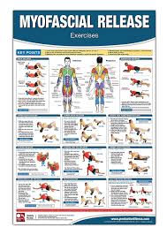 Myofascial Release Chart Poster Foam Rolling Chart Muscle