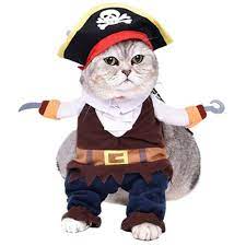 12 Cat Costumes To Meow For This Halloween Pet Costumes Funny Pet Costumes Dog Pirate Costume