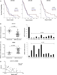 Because of limited data on the best combination treatment, we emphasise that. Microrna 215 5p Treatment Suppresses Mesothelioma Progression Via The Mdm2 P53 Signaling Axis Molecular Therapy