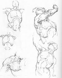Check spelling or type a new query. Torso Structure Anatomical Drawings Joshua Nava Arts