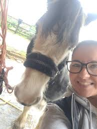 Does anyone remember the black horse in rainhill nick named maggie sharkys