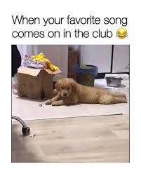 I Probably Laughed Way Too Hard At This Video Cute Baby Animals Animal Memes Funny Animals