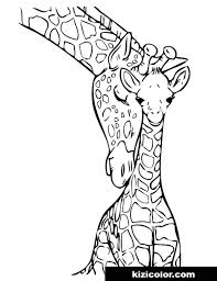 Ver más ideas sobre jirafas, dibujos, dibujos de animales. Jirafa Bebe Dibujos Para Colorear Y Imprimir Gratis Para Ninos