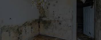 Maybe you would like to learn more about one of these? Mold Inspection Removal Company Houston Tx Mold Inspectors Houston