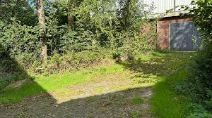 robert leever Archieven