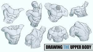 Basic first day torso lecture from my inventive drawing class. Drawing The Upper Body Of The Male Character Youtube