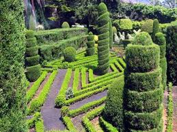 Topiary Funchal Garten Reisen